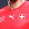 maillot_football_suisse_2014.jpg