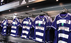 maillot_anderlecht_2015-2016.jpg