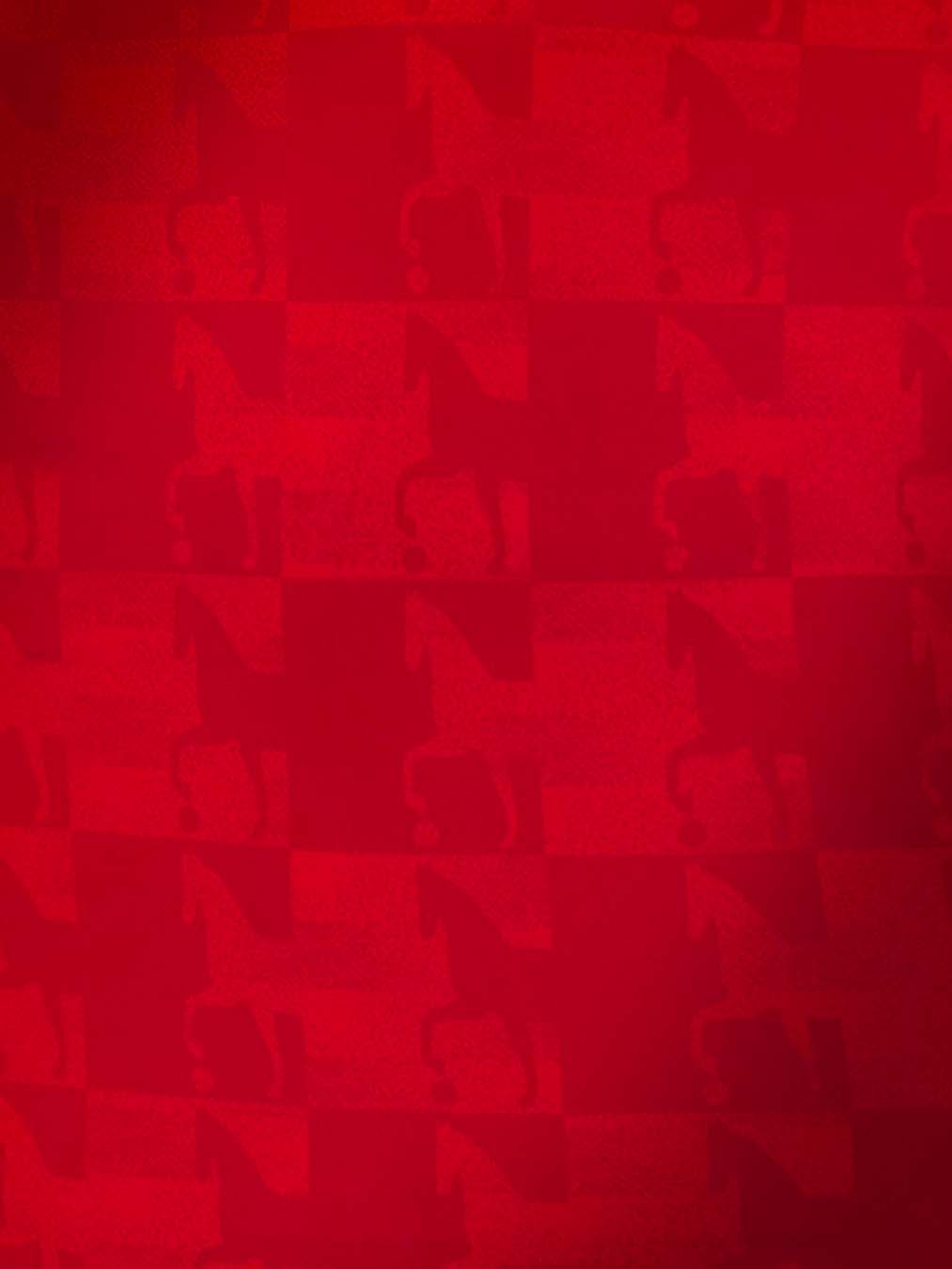 Voici les maillots du Calcio Padova 2026-2027