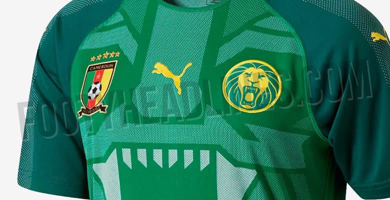 kameroen-shirt-2018-2019-gelekt.jpg